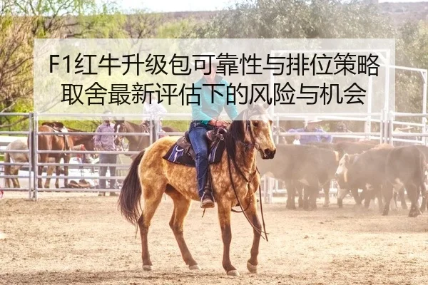 F1红牛升级包可靠性与排位策略取舍最新评估下的风险与机会 - PG